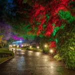 Brightly coloured trees lining the path of Kings Gardens in Thetford Norfolk